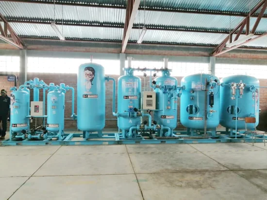 Chenrui Air Separation Plant O2 Oxigen Gas Psa Oxygen Generator Equipment for Industrial